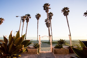 A pathway leading to a beach with palm trees and a clear sky.