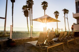 A beachside lounge with sun loungers and a large umbrella, palm trees, and a view of the ocean.