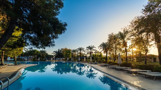 Piscina con sillas de descanso y sombrillas, rodeada de árboles y un cielo despejado.