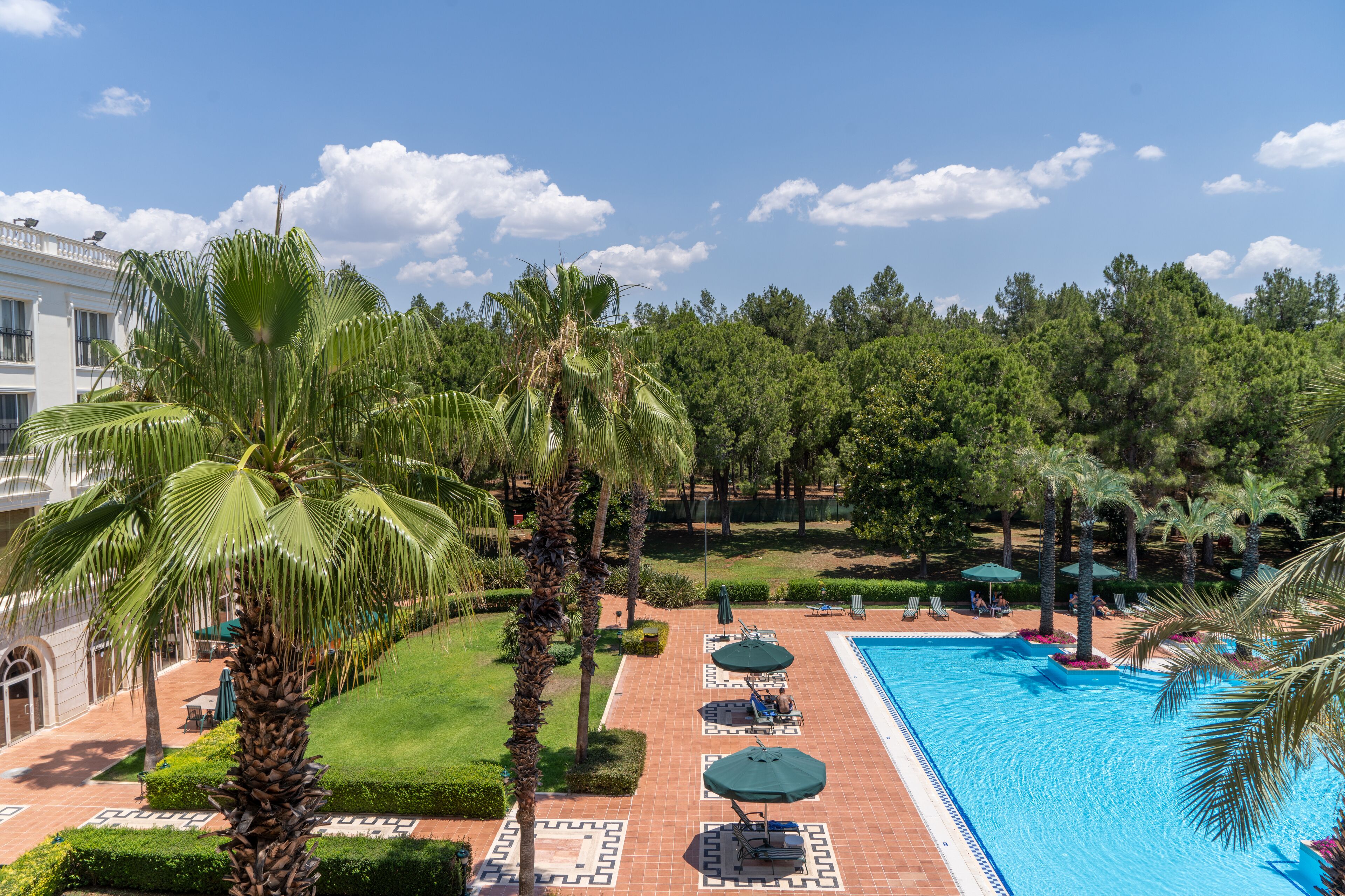 A pool area with lounge chairs and umbrellas, surrounded by palm trees and a building in the background.