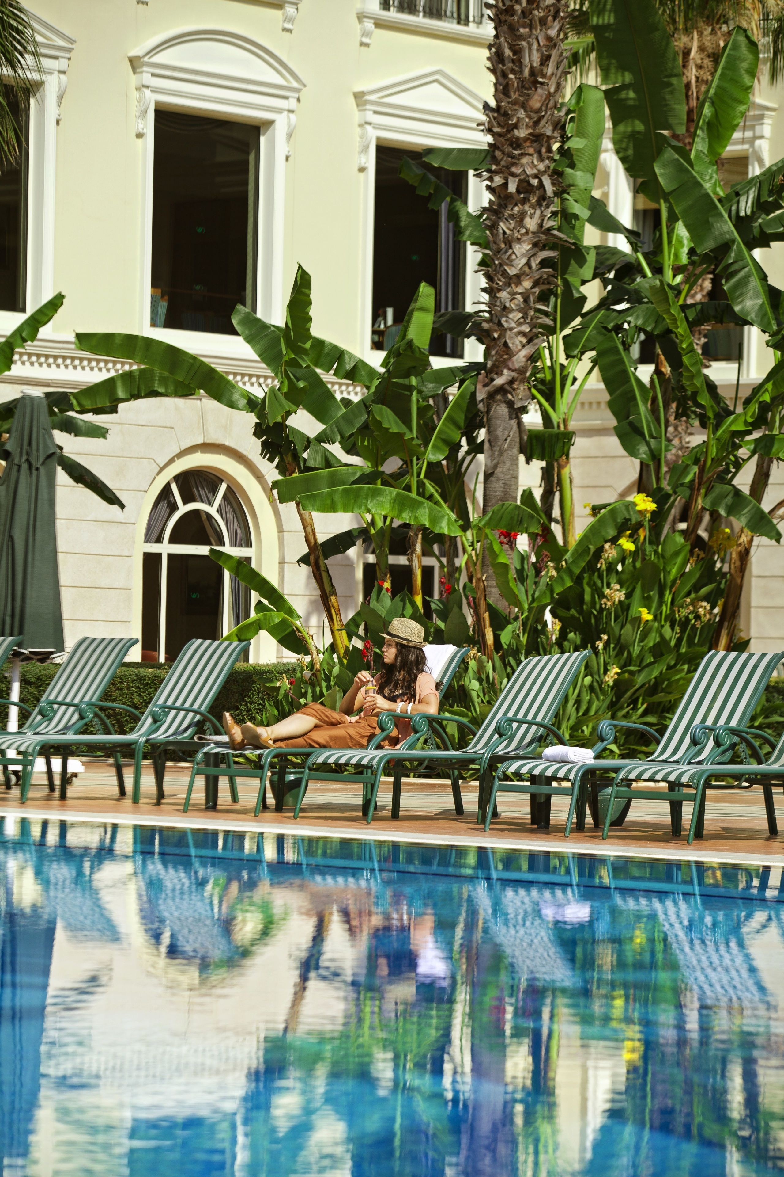 A poolside area with lounge chairs and a palm tree.