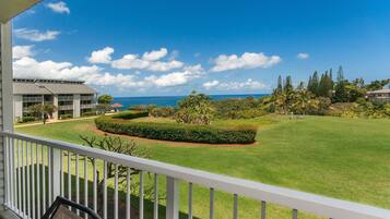 Standard Room, 1 Bedroom, Ocean View | Balcony view