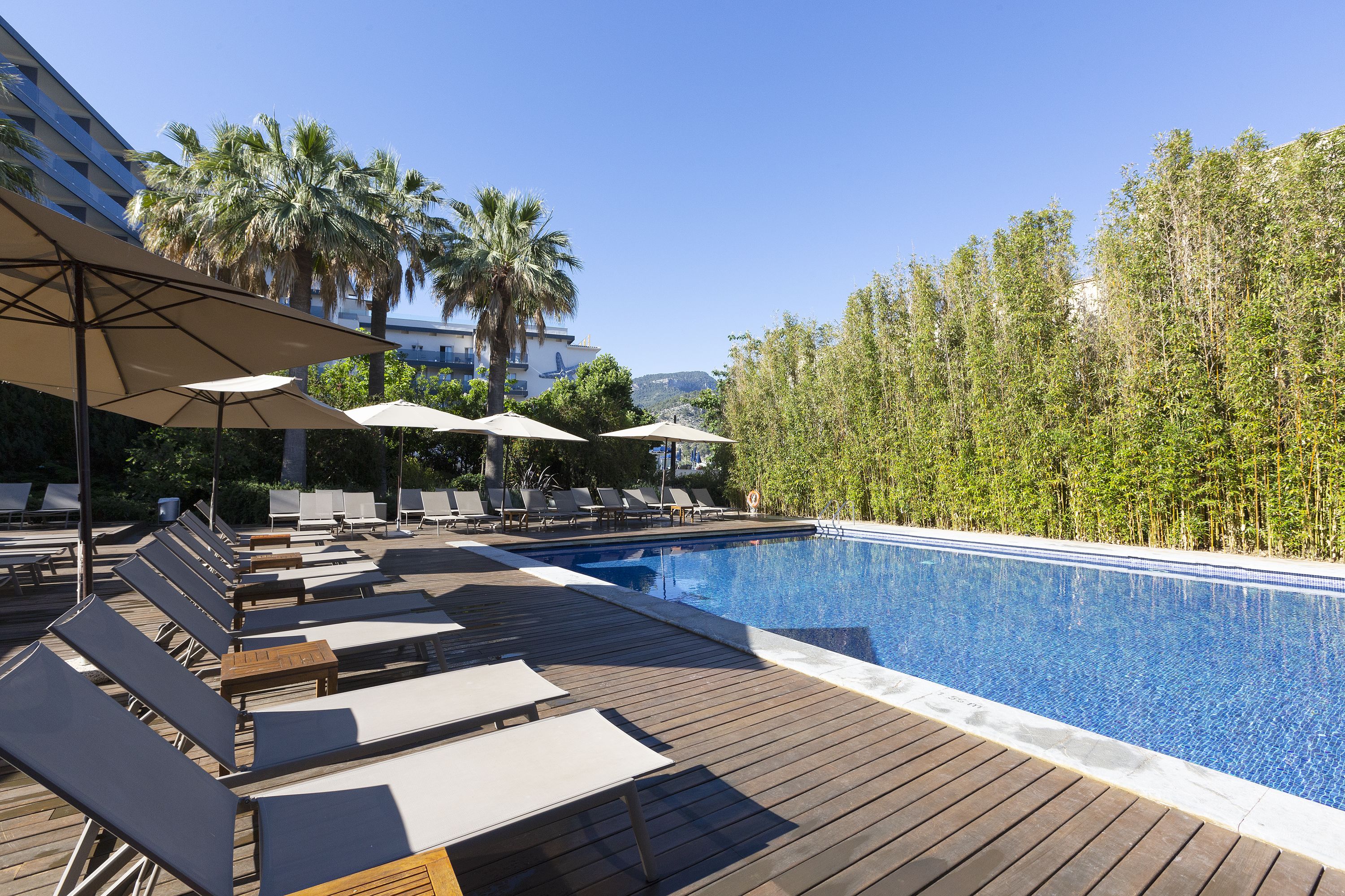 Un área junto a la piscina con sillones de descanso y sombrillas, rodeada de palmeras y una terraza de madera.