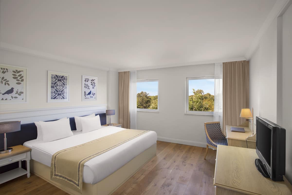 A hotel room with a large bed, two bedside tables, a desk with a chair, a television, and two windows offering a view of trees.