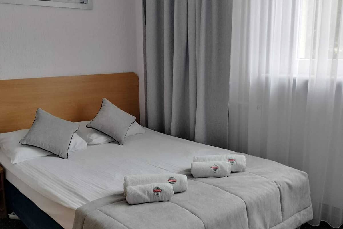 standard single room, 1 double bed, non smoking, private bathroom | 1 bedroom, desk, rollaway beds, free wifi