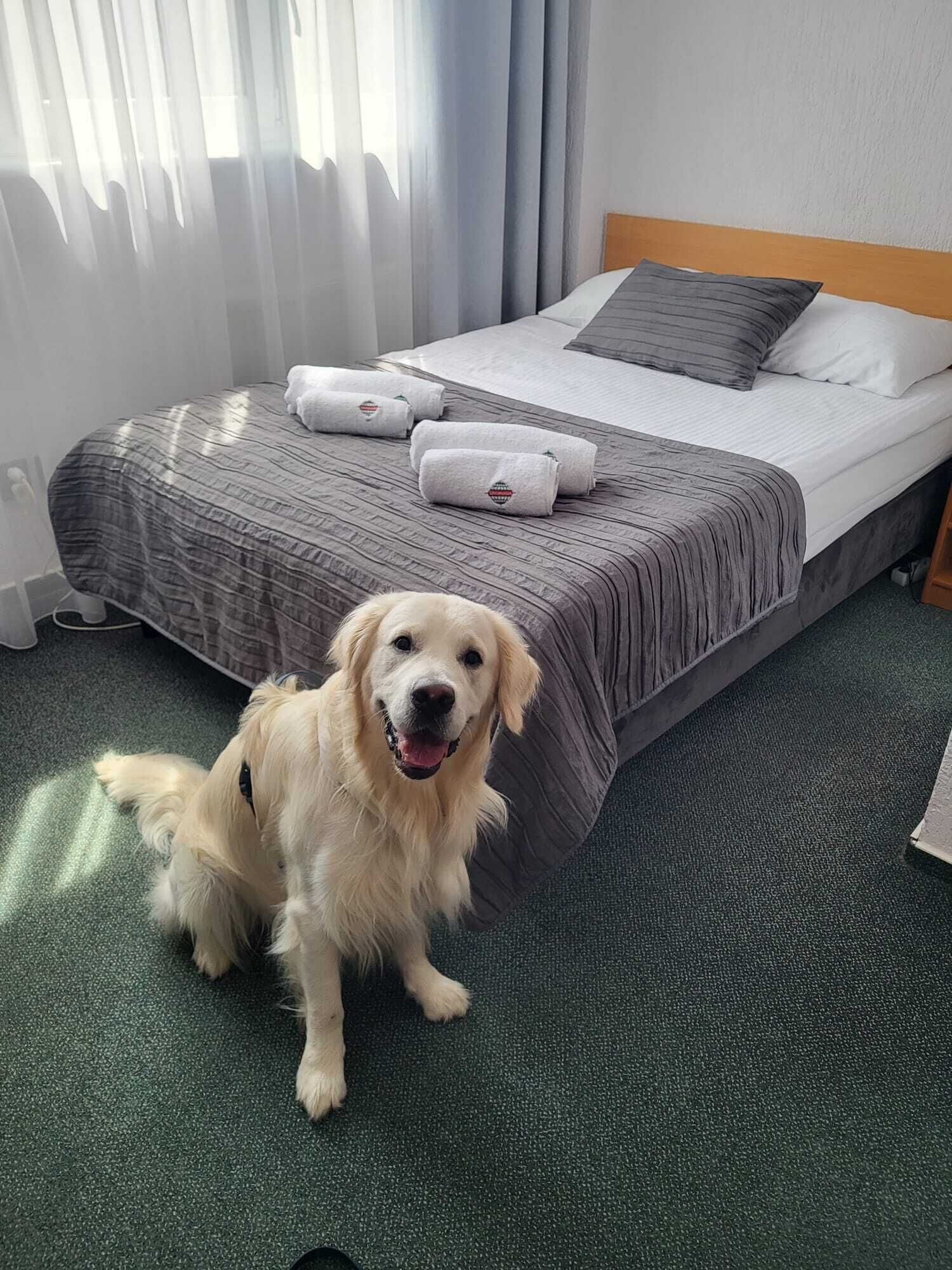 1 bedroom, desk, rollaway beds, free wifi