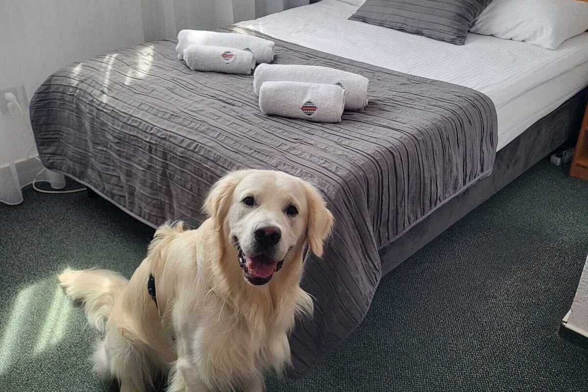 1 bedroom, desk, rollaway beds, free wifi