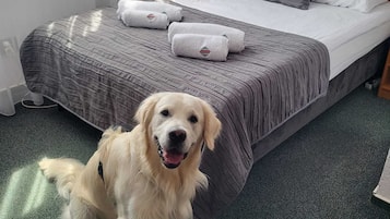 Desk, rollaway beds, free WiFi, bed sheets