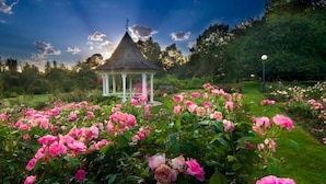 A gazebo surrounded by a garden with pink roses.