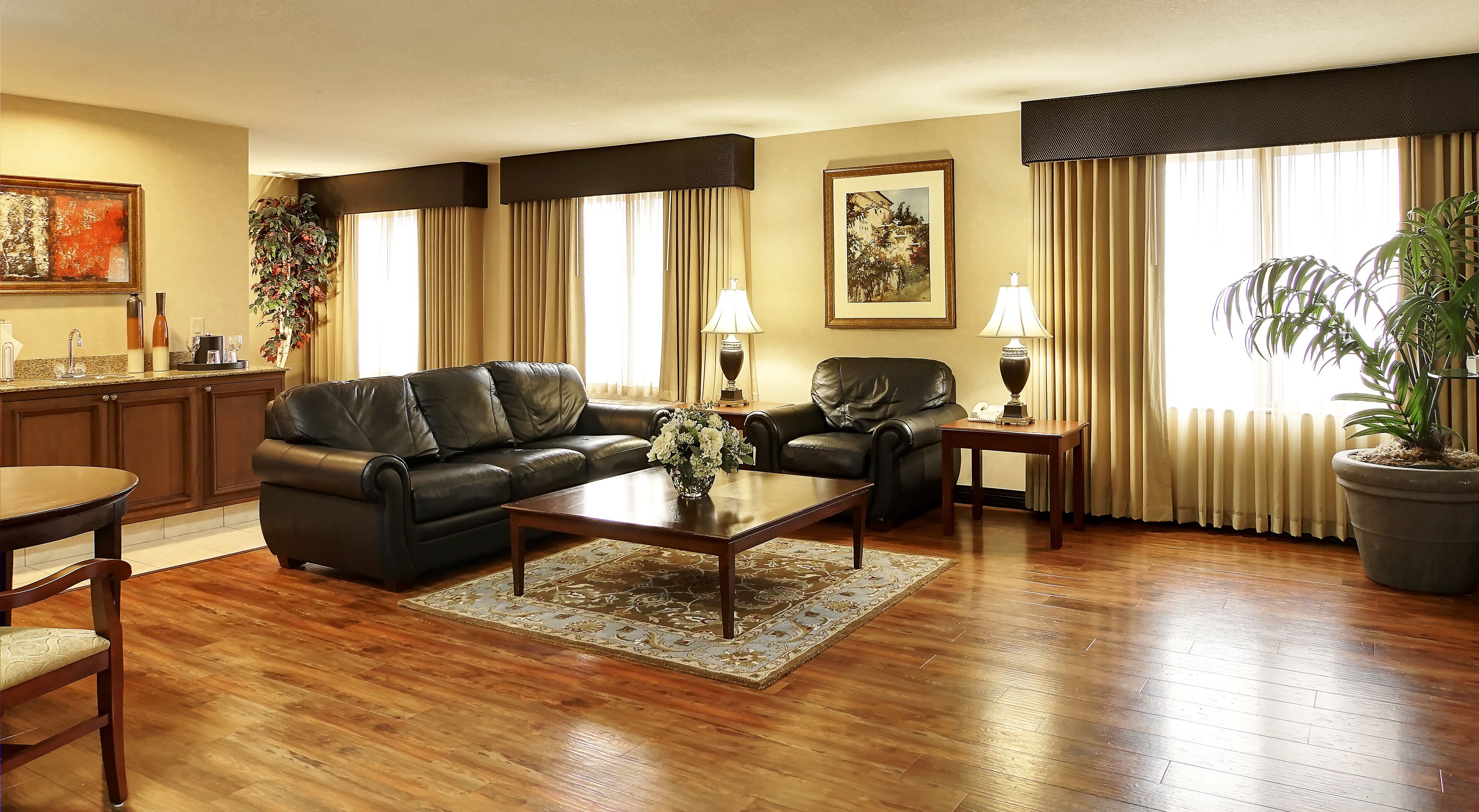 A living room with a leather sofa, a coffee table, a dining table, and a potted plant.