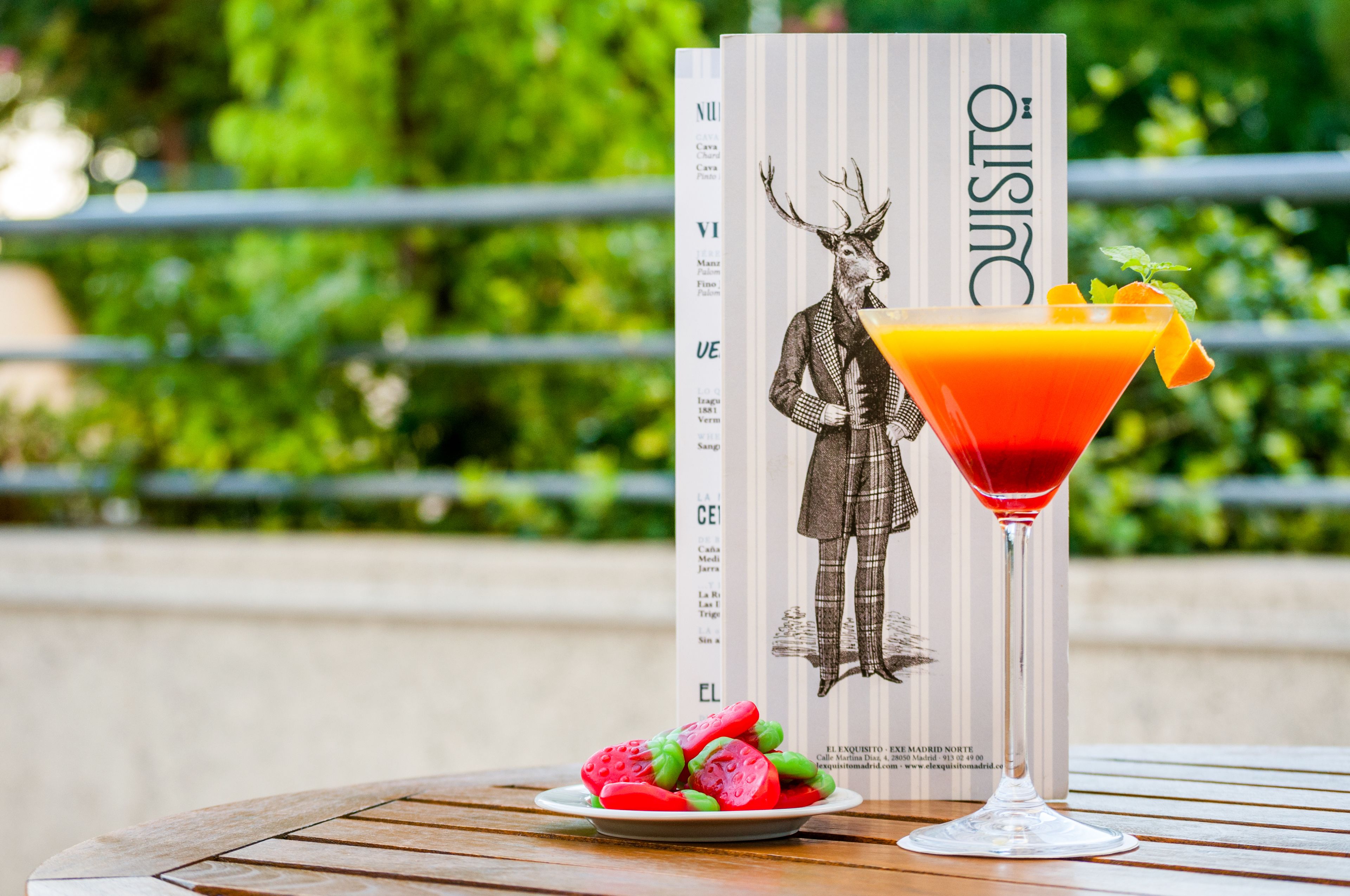 Ein Martini-Glas mit einer Garnitur auf einem Holztisch, ein Teller mit Obstscheiben und ein Buch mit einer Hirsch-Illustration.