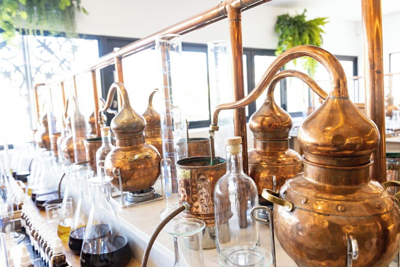A distillery with copper stills and glassware on display.