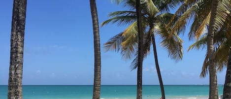 鄰近海灘