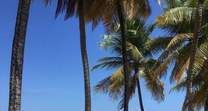 Borinquen Beach Inn