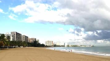 A beach with a sandy shore, palm trees, and a city skyline in the background.