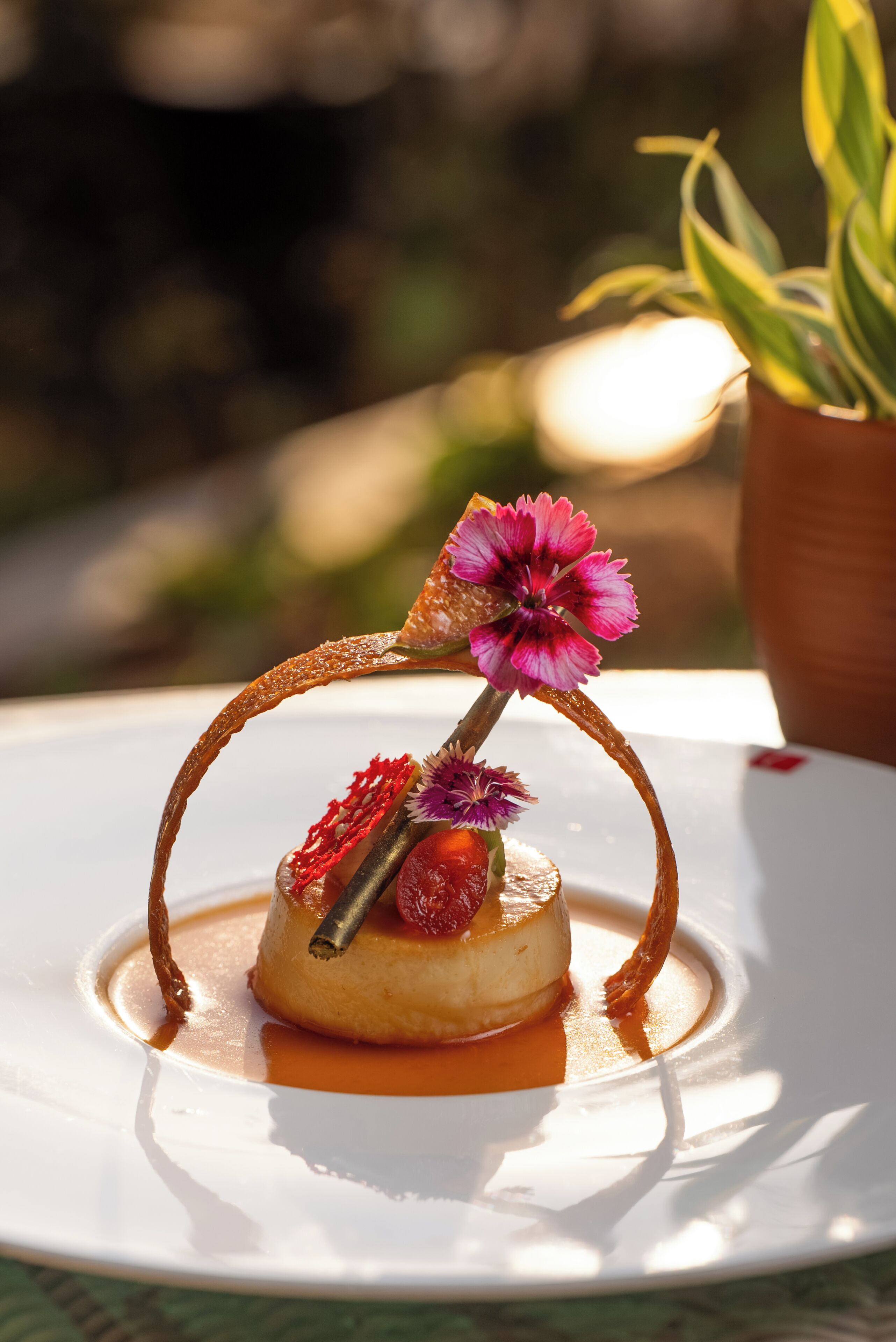 En dessert på en hvid tallerken med karamelliseret sukkerpynt, en jordbær og en blomst.