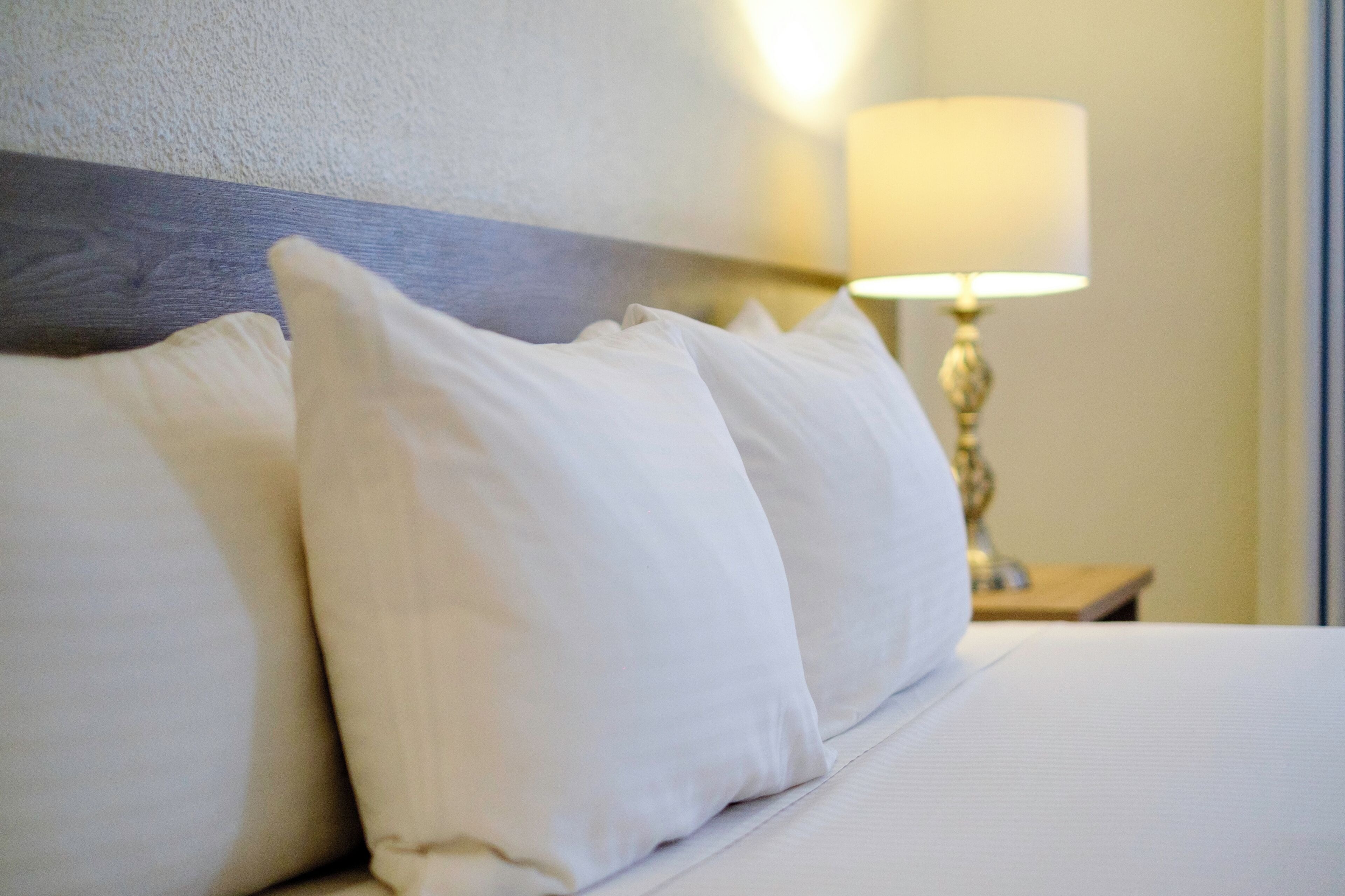 Photo - Hotel Laffayette Ejecutivo