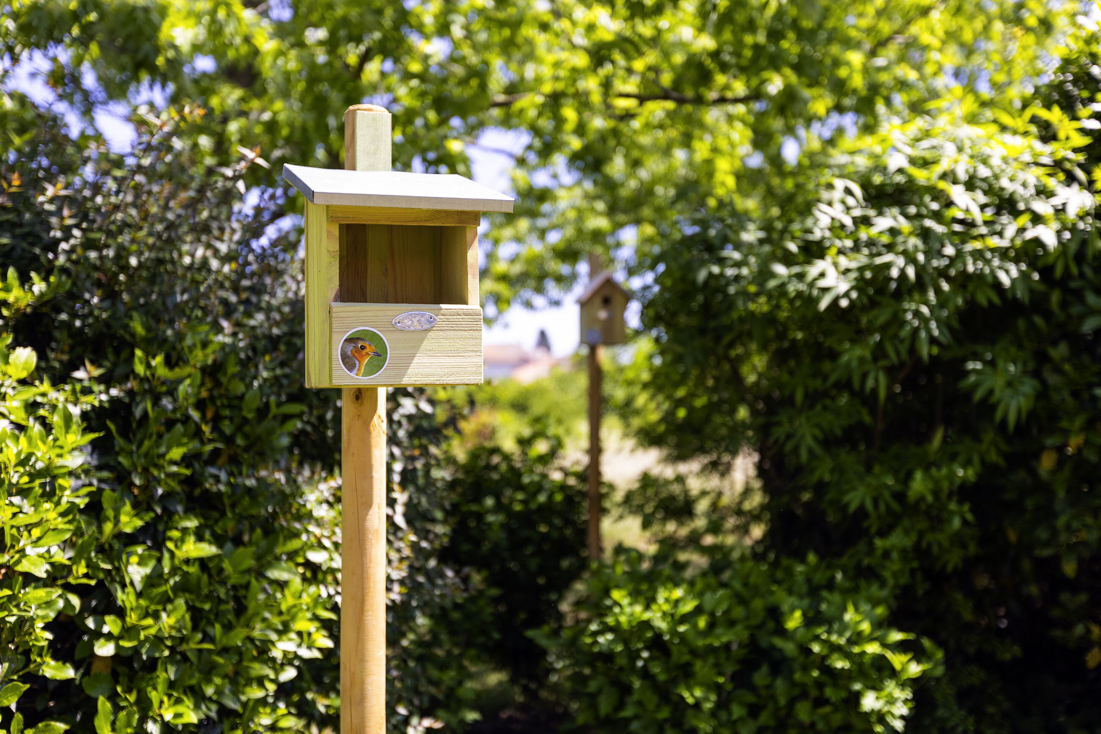 Une nichée à oiseaux en bois, ornée d’un autocollant, placée sur un fond de feuillage vert et dense.