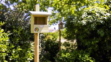 Une nichée à oiseaux en bois, ornée d’un autocollant, placée sur un fond de feuillage vert et dense.