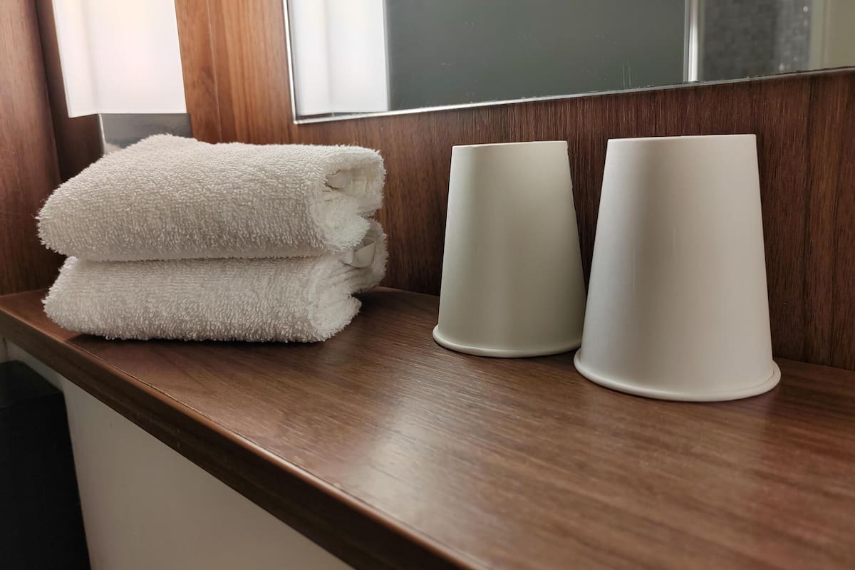 shower, eco-friendly toiletries, hair dryer, towels