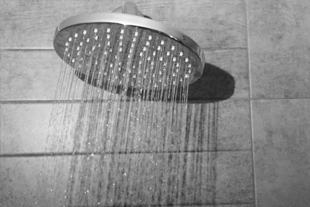 shower, rainfall showerhead, eco-friendly toiletries, hair dryer
