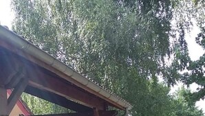 Un espacio de estar al aire libre con techo, mesas y sillas, rodeado de césped y plantas en macetas.