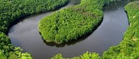 A river winding through a dense forest.