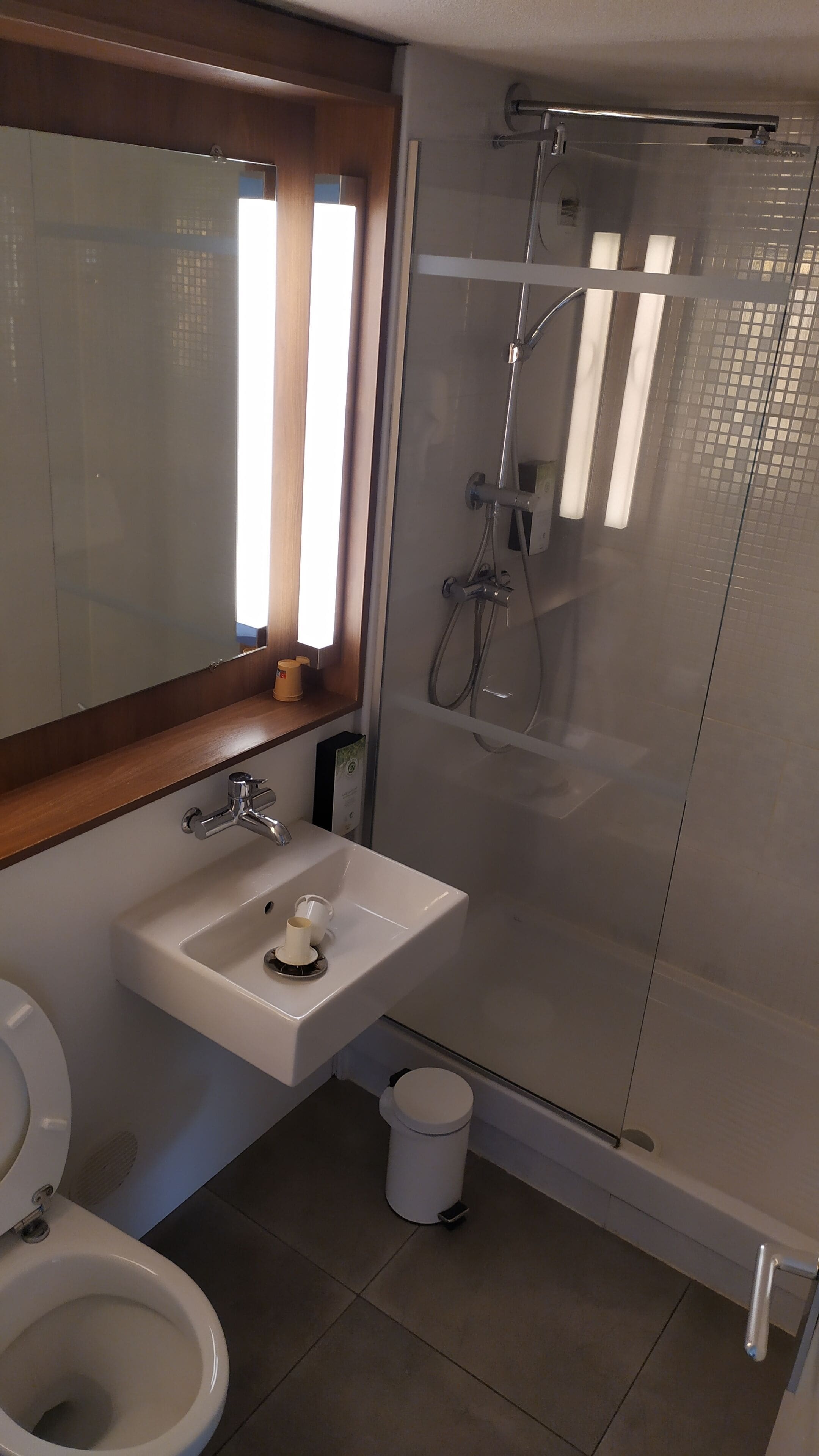 A bathroom with a glass-enclosed shower, a sink with a mirror above it, and a toilet.