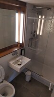 Un baño con ducha envuelta en vidrio, un lavabo con espejo y un inodoro.
