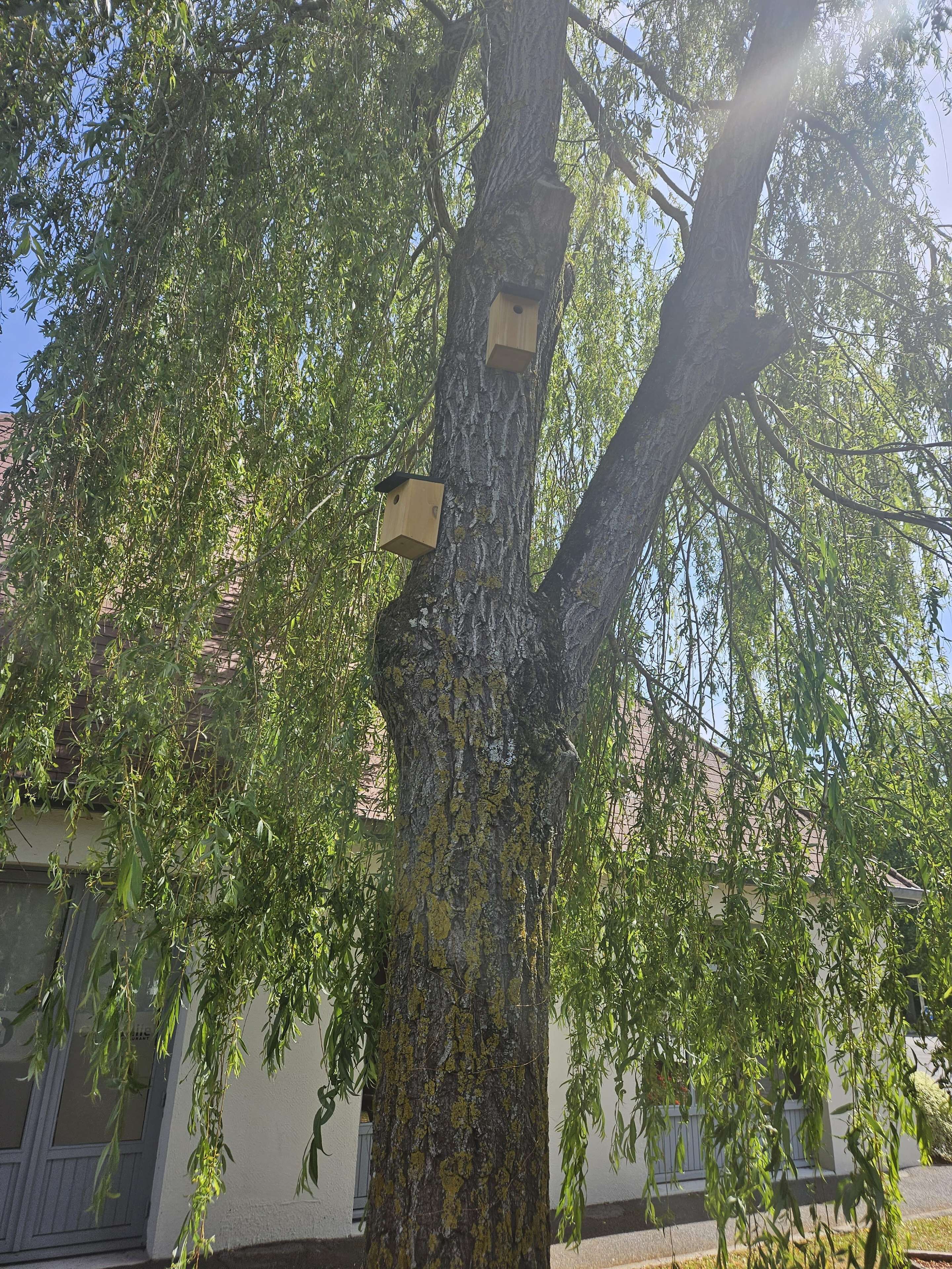 Foto - Campanile Deauville Saint-Arnoult