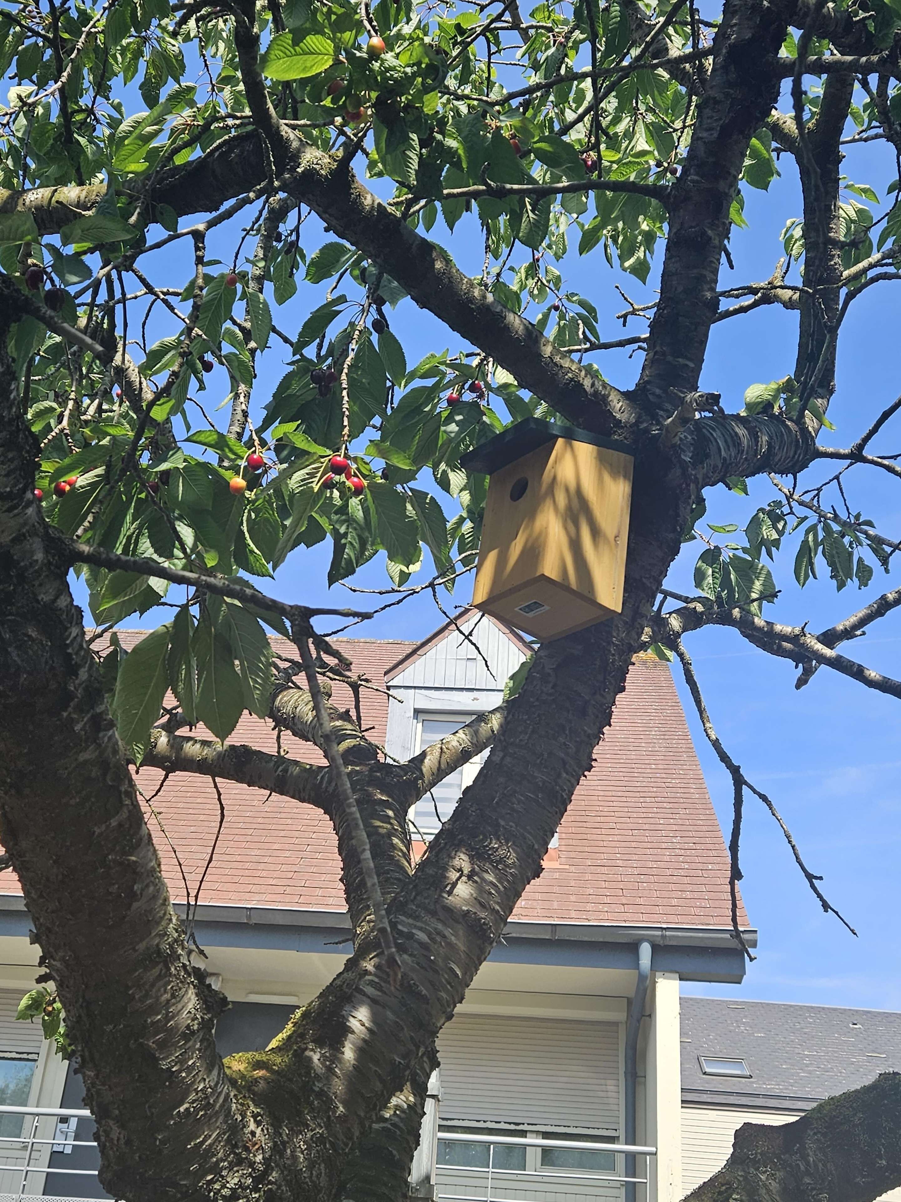 Foto - Campanile Deauville Saint-Arnoult