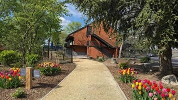 Literie de qualité supérieure, bureau, rideaux occultants