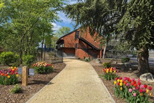 Premium bedding, desk, blackout drapes, soundproofing