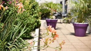 Un sendero bordeado de plantas y flores en macetas, que conduce a un edificio de fachada blanca.