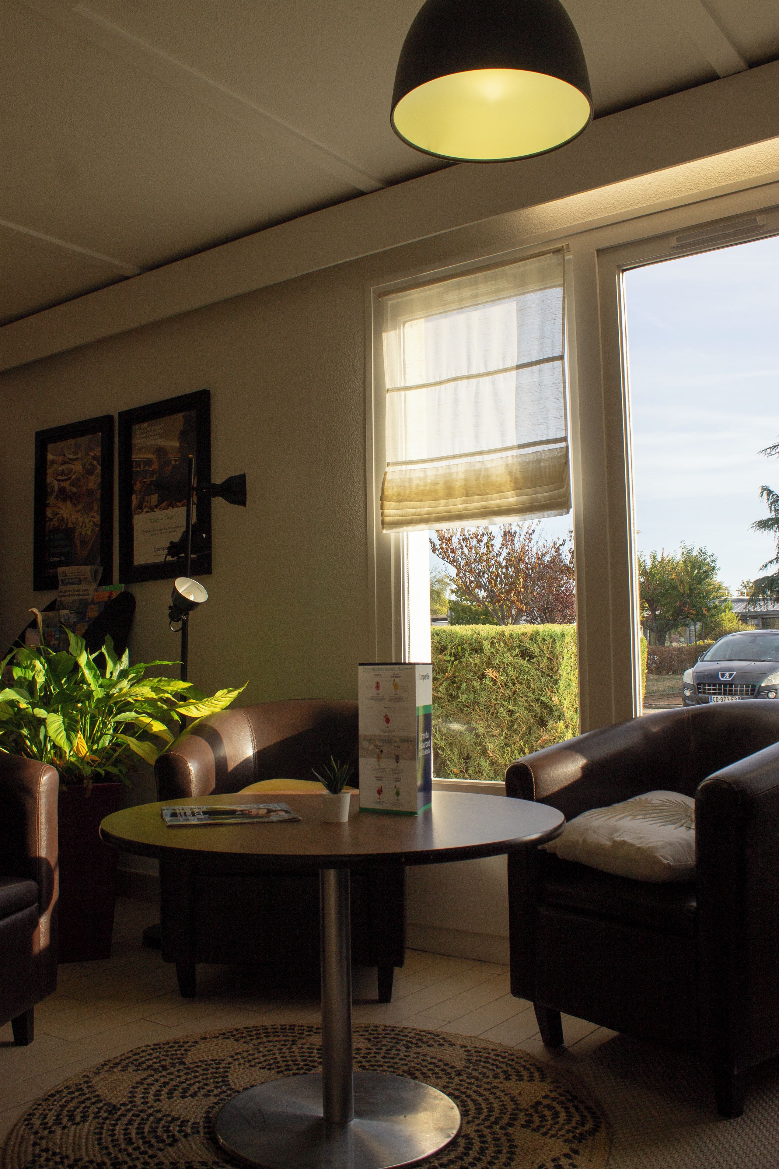 A room with a round table, two armchairs, a potted plant, a window with a view of the outside, and a ceiling light fixture.