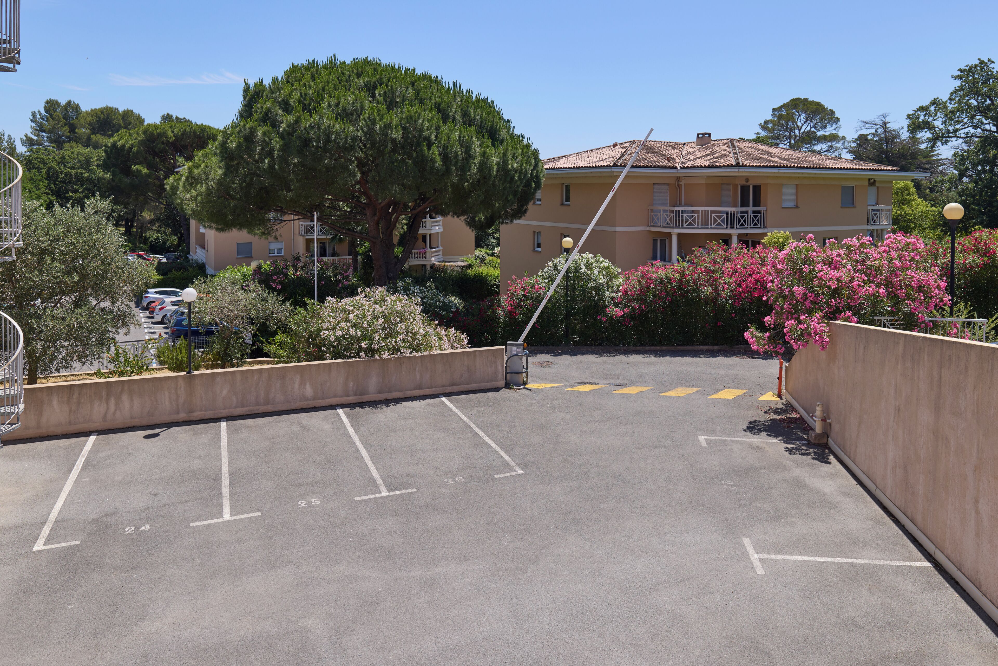 A parking lot with marked spaces, a building with balconies, and a large tree in the background.