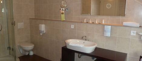 A bathroom with a glass-enclosed shower, a toilet, a sink, and a mirror above the sink.