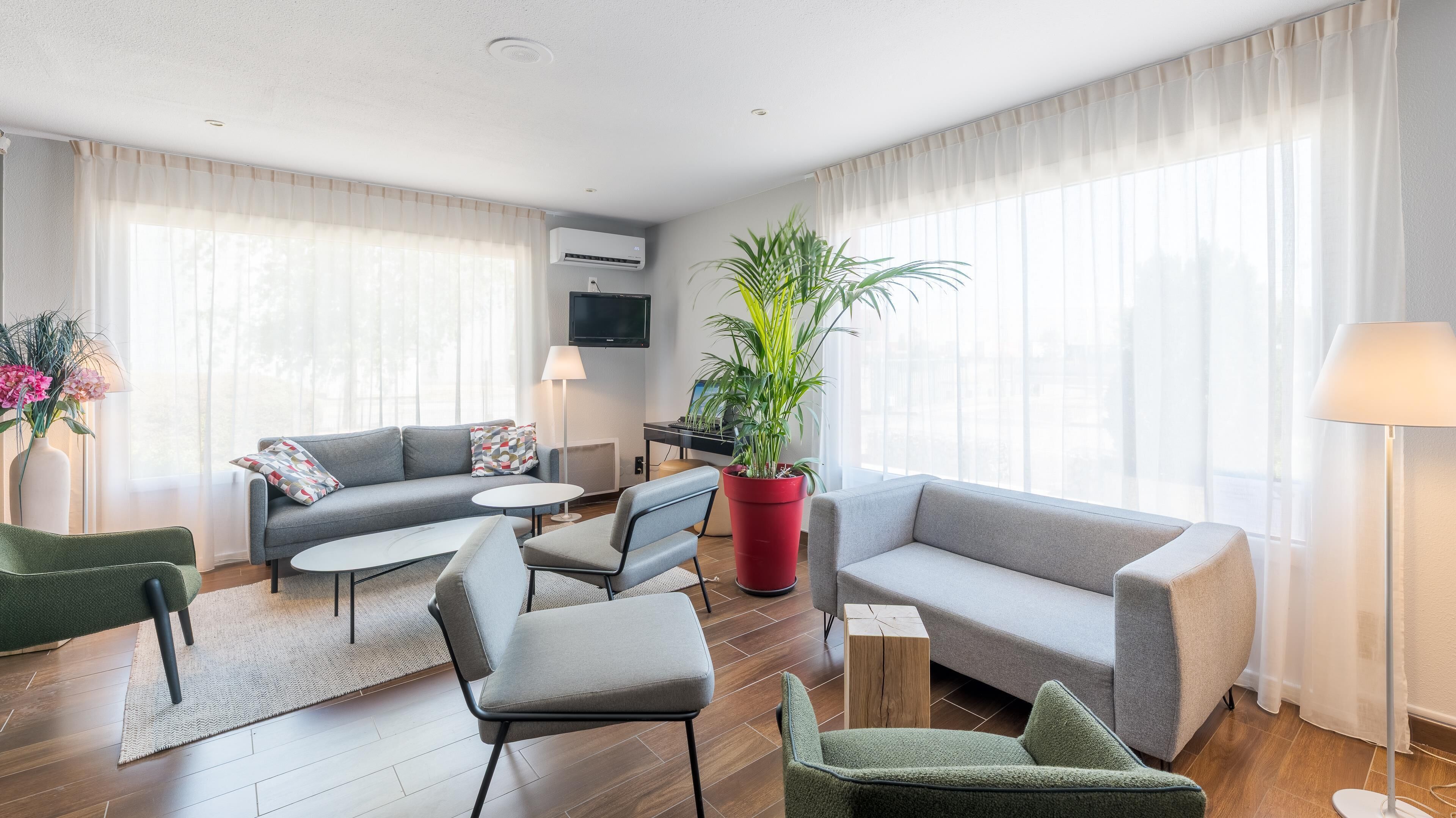 A modern living room with a sofa, chairs, a coffee table, a potted plant, and a flat-screen TV.