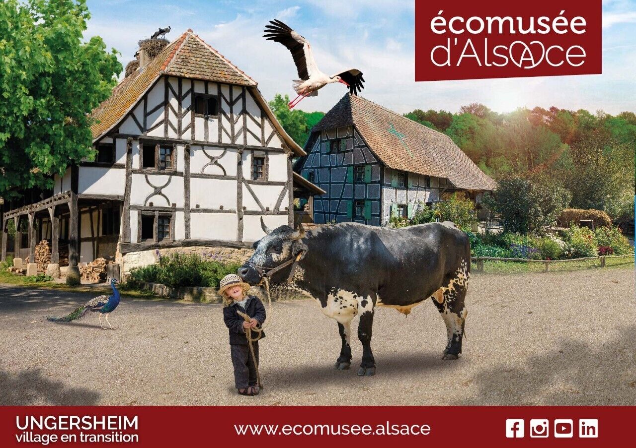 Photo - Kyriad Mulhouse Est - Lutterbach