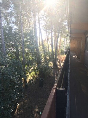 Udendørsområde