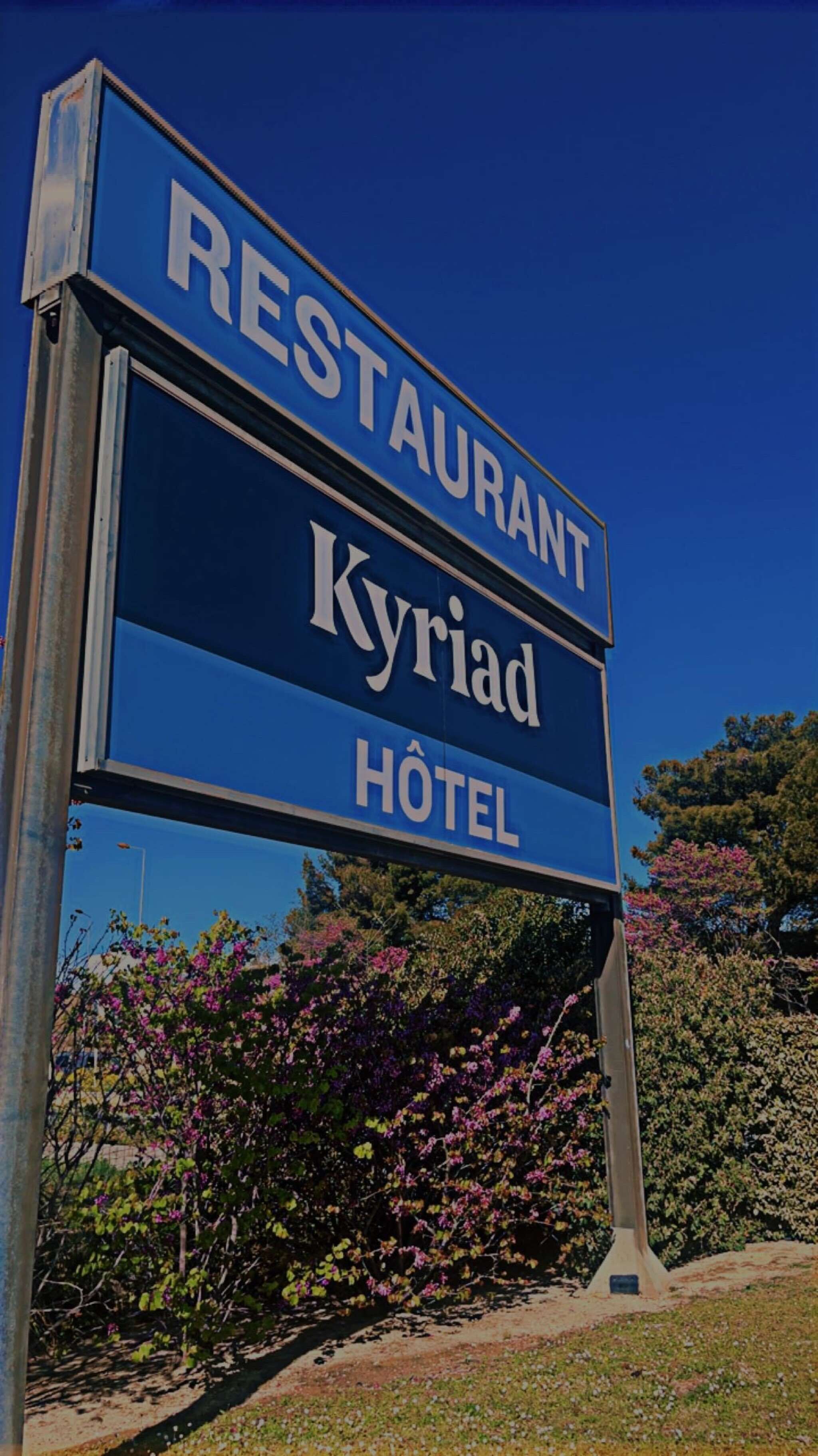 breakfast, lunch and dinner served