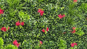 A wicker outdoor seating area with a view of a lush green hedge and red flowers. - Campanile PRIME - Paris Bobigny (Bobigny)