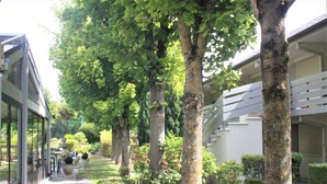 Ein Baumweg mit einem Gebäude und einer überdachten Außenbestuhlung.