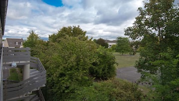 A residential area with a spiral staircase, lush greenery, and a paved road.