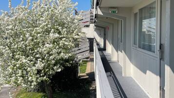Façade de lâhĂ©bergement
