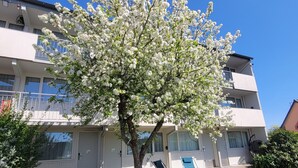Un edificio de dos pisos con balcones, un árbol con flores blancas y una silla azul en el césped.