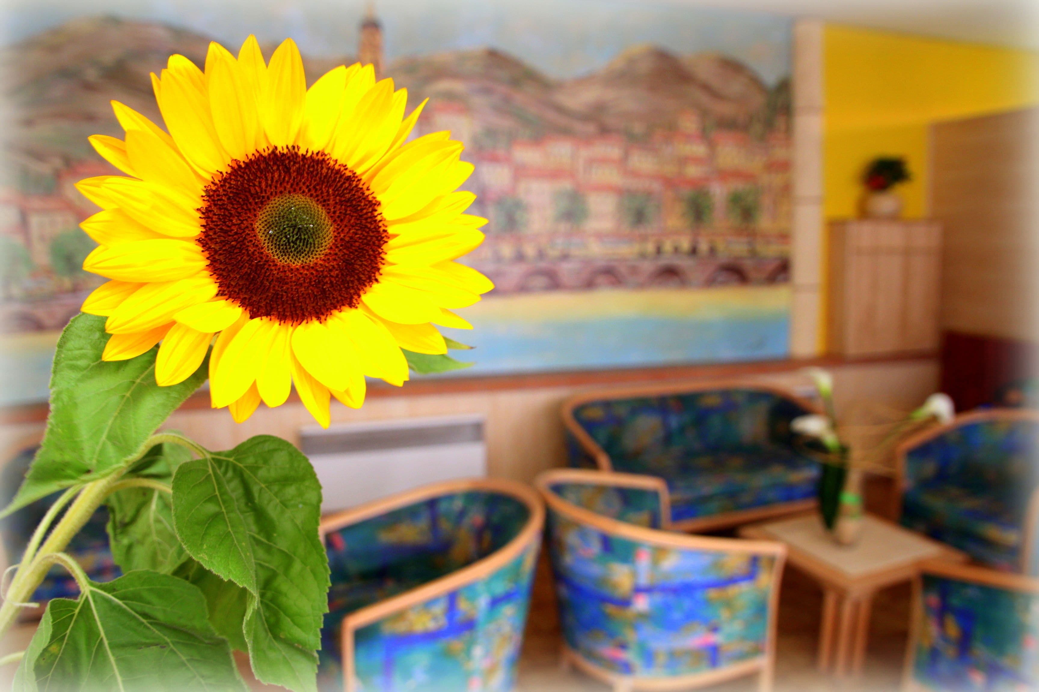 Foto - Hotel Menton Riviera