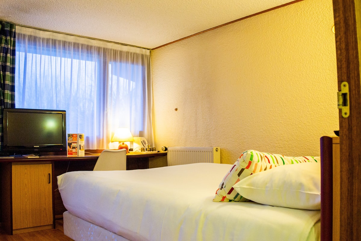 Habitación doble | Ropa de cama de alta calidad, escritorio, sistema de insonorización