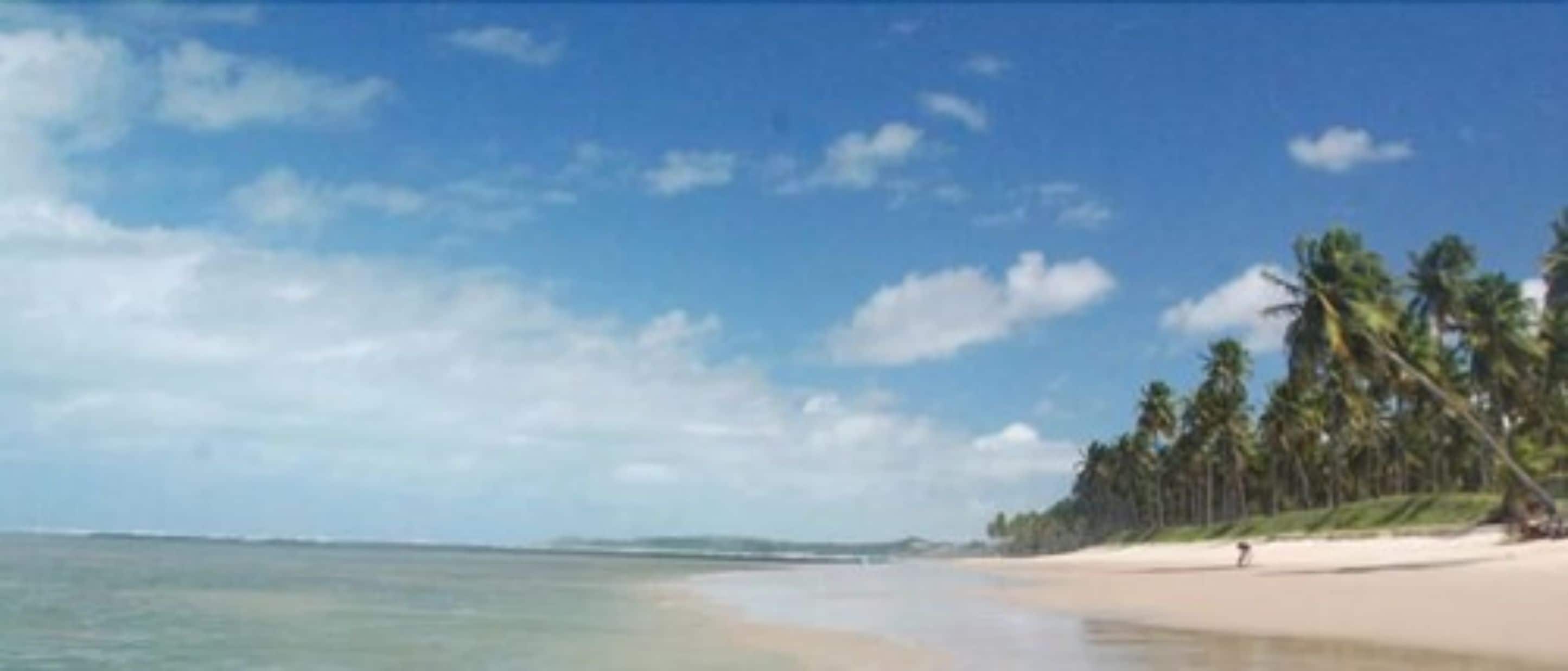 Foto - Hotel Canarius D'Gaibu