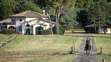 Escursioni a cavallo